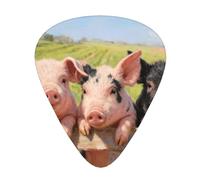 Three Cute Pigs Guitar Picks Gift Set - 12 Smooth Durable Plectrums For Acoustic, Electric & Bass Guitar, Perfect Present For Guitar Lovers & Musicians