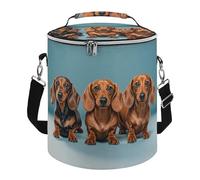Three Dachshunds Lunch Bag, 15L Portable Leakproof Picnic Basket with Shoulder Strap, Insulated Picnic Cooler Bag for Camping, Beach, Hiking & Groceries