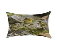 Three Dancing Frogs Pillowcase,Elegant Designed Home Decor,Velvet Pillowcase,Soft and Cozy,Pillow Case Cover with Hidden Zipper for Bedroom, Sofa, Couch