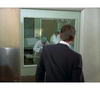 Three Dead Cows at Makapuu: Part I