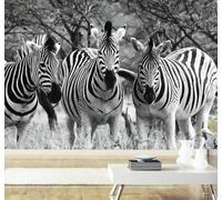 Three Dimensional Black and White Forest Zebra Art 3D Wallpaper Easy Install Feature Office Living Room Sofa Bedroom TV Background Wall Decoration-250cm×170cm