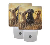 Three Dogs Night Light 2 Pack Plug in Wall with Dusk to Dawn Sensor Led Lamp for Women Men Night Lights Plug in Wall Decor for Bedroom Kitchen Corridor, 0.5W