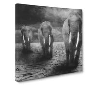 Three Elephants Canvas Print | Gallery Wrapped 30mm Frame Wall Art | 20x20 inches | Ready to Hang | Modern Animal Picture | Living Room Bedroom Lounge Office
