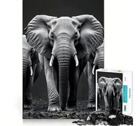 Three Elephants in Black And White 1000 Piece Jigsaws for Teenagers Puzzle Brain Workout Toy Calm Escape Art Assembly Thoughtful Gift (38x52cm)