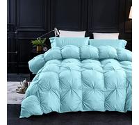 Three Geese Goose Feather Down Comforter Queen Size Duvet, 750+ Fill Power, 1200TC 100% Cotton, Premium Aqua Sky Duvet for All Seasons with 8 Tabs