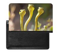 Three Green Snakes Funny Passport Holder for Travel Wallet Cover Document Organizer with Card Slot