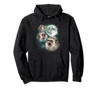 Three Hedgehog Moon | 3 Hedgies Funny Weird Cursed Meme Pullover Hoodie