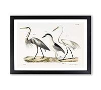 Three Herons by J.E. De Kay Framed Print | A2 Black Framed Wall Art | Ready to Hang | Modern Animal Picture | Living Room Bedroom Lounge Office