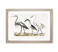 Three Herons by J.E. De Kay Framed Print | A2 Oak Framed Wall Art | Ready to Hang | Modern Animal Picture | Living Room Bedroom Lounge Office