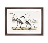 Three Herons by J.E. De Kay Framed Print | A2 Walnut Framed Wall Art | Ready to Hang | Modern Animal Picture | Living Room Bedroom Lounge Office