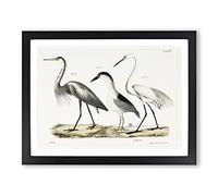 Three Herons By J.E. De Kay Vintage Framed Print | A2 Black Framed Wall Art | Ready to Hang | Classic Animal Picture | Living Room Bedroom Lounge Office