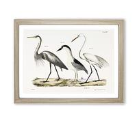 Three Herons By J.E. De Kay Vintage Framed Print | A2 Oak Framed Wall Art | Ready to Hang | Classic Animal Picture | Living Room Bedroom Lounge Office