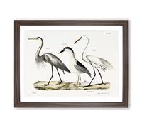 Three Herons By J.E. De Kay Vintage Framed Print | A2 Walnut Framed Wall Art | Ready to Hang | Classic Animal Picture | Living Room Bedroom Lounge Office