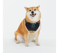 Three Humans with Halos On Their Heads Dog Bandanas-Washable Dog Kerchief for Small to Large Pet Scarf for Girl Or Boy, Pet Accessories