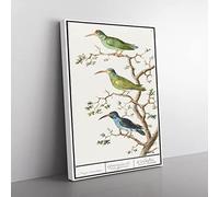 Three Hummingbirds By A.B. De Boodt Vintage Canvas Wall Art Print Ready to Hang, Framed Picture for Living Room Bedroom Home Office Décor, 76x50 cm (30x20 Inch)