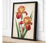 Three Iris Studies Botanical Canvas Wall Art Print 30x20 Inch | Black
