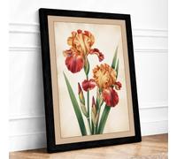 Three Iris Studies Botanical Framed Wall Art Print A4 (29.7×21cm) Black,