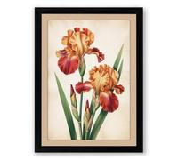 Three Iris Studies Botanical Framed Wall Art Print A4 (29.7×21cm) Black, Wall Decor for Living Room, Bedroom, Office & Home, Ready to Hang, Art Gift