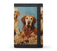 Three Labrador Dogs Funny Trifold Wallet RFID Blocking Front Pocket Wallets with ID Window Gifts for Men Women