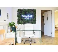 Three Light Therapy Sessions