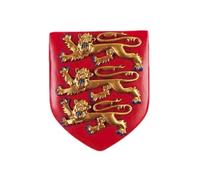 Three Lions Fridge Magnet England Shield Crest Heraldic Royal Football Resin