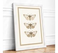 Three Natural History Moths Botanical Framed Wall Art Print A4 White