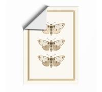 Three Natural History Moths Botanical Unframed Wall Art Print A2 (59.4×42cm), Wall Decor for Living Room, Bedroom, Office & Home, Art Gift