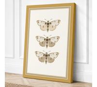 Three Natural History Moths Canvas Wall Art Print 24x16 Inch (61 x 41 cm)