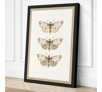 Three Natural History Moths Canvas Wall Art Print 24x16 Inch (61 x 41 cm)