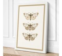 Three Natural History Moths Canvas Wall Art Print 24x16 Inch (61 x 41 cm)