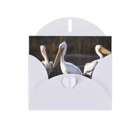 Three Pelicans Greeting Cards Blank Note Cards with Envelopes Happy Birthday Card Thank You Card Wedding Party Invitation Cards for All Occasions 4x6 Inch