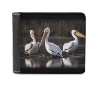 Three Pelicans Wallet for Men, Capacity Bifold Passcase with Card Slots for Travel, Slim Money Clip with Coin Purse, Leather RFID Blocking Wallets with ID Windows for Gift