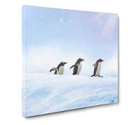 Three Penguins in the Antarctica Modern Canvas Wall Art Print Ready to Hang, Framed Picture for Living Room Bedroom Home Office Décor, 20x20 Inch (50x50 cm)