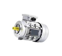 Three Phase AC Asynchronous Motor, B14 Flange Vertical Mount 24mm Shaft 1.1-2.2kW 1400/2800RPM 380V Aluminum Motor(9014-1.1KW 24 Axes 1400rpm)