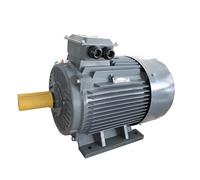 Three-Phase AC Brushless Permanent Magnet Synchronous Variable Frequency Drive Motor Vertical Speed Control(YYT100L-5.5kw-302W)