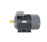 Three-Phase AC Permanent Magnet Synchronous Motor Variable Frequency Speed Control 15/18.5/22/30/37/45/18.5 kW(YYT160M-22KW-302W)