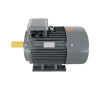 Three-Phase AC Permanent Magnet Synchronous Motor Variable Frequency Speed Control 15/18.5/22/30/37/45/18.5 kW(YYT112M-4KW-152W)