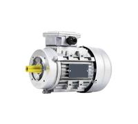 Three Phase Asynchronous Motor, 0.12-0.25kW 1400/2800RPM 2P/4P Electric Motor 380V 63 Frame B14 Flange Vertical Mount(6314-0.12KW 11 Axes 1400rpm)