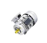 Three Phase Asynchronous Motor, 19mm Shaft 0.75-1.1kW 1400/2800RPM 380V Aluminum Motor B14 Small Flange Vertical Mount(8012-0.75KW 19 Axes 2800rpm)