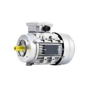 Three Phase Asynchronous Motor, YS100 Aluminum Electric Motor 380V 2.2-3kW 1400/2800RPM B14 Flange Vertical Mount(100-2-3KW 28 Axes 2800rpm)