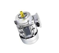 Three Phase Asynchronous Motor, YS112 28mm Shaft 4kW 380V 2P/4P Electric Motor Aluminum B14 Flange Vertical Mount(112-2-4KW 28 Axes 2800rpm)