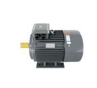 Three-Phase Permanent Magnet Synchronous Variable Frequency Drive AC Industrial Motor(YYT132M-15kw-302W)