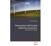 Three-phase Self Excited Induction Generator: Steady State Analysis