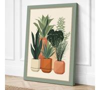 Three Potted Specimens Canvas Wall Art Print 18x12 Inch (46 x 30 cm)
