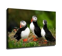 Three Puffins Poster Canvas Painting Wall Art Painting, Animal Theme, Aesthetic Decor, For Bedroom, Living Room, Dining 70x100cm Frameless