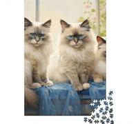 Three Ragdoll Cats Adult Jigsaw Puzzle, 1000 Pieces, 70x50cm/1000pcs, Relaxing Indoor Activity, Evening Leisure And Year-Round Leisure