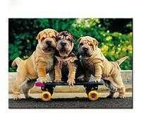 Three Shar Pei Dog Playing Skateboarding Jigsaw Puzzle Challenging for Youth Children Fun Puzzle Family Game Preschool Toys Best Gift