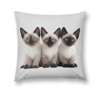 Three Siamese Cats with Blue Eyes Decorative Throw Pillow Soft Square Cushion Cover with Invisible Zipper for Sofa Couch No Insert