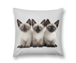 Three Siamese Cats with Blue Eyes Decorative Throw Pillow Soft Square Cushion Cover with Invisible Zipper for Sofa Couch No Insert