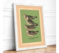 Three Songbirds Study Vintage Framed Wall Art Print A4 (29.7×21cm) White, Wall Decor for Living Room, Bedroom, Office & Home, Ready to Hang, Art Gift